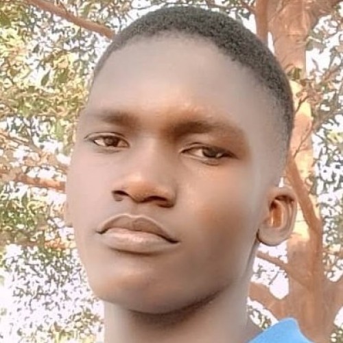 David M. profile photo