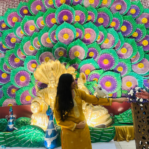 Vaishnavi Y. profile photo