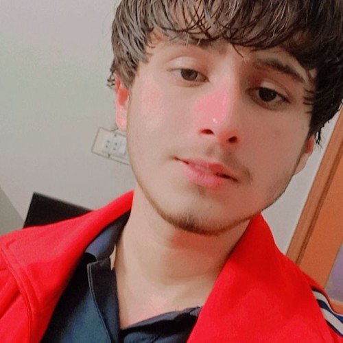 Mohsin S.