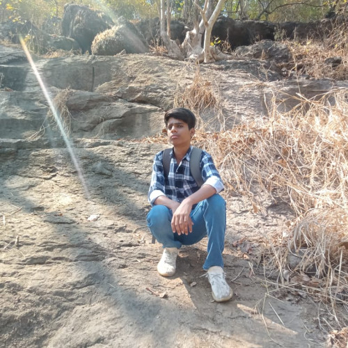 Dilshad  S. profile photo