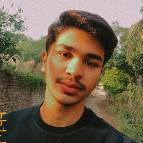 Kaushik K. profile photo