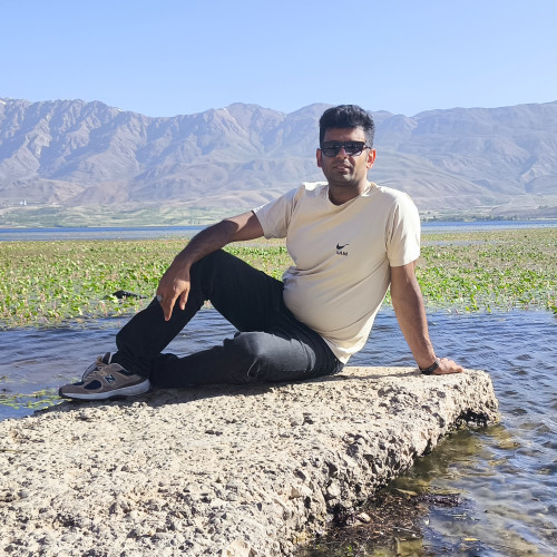 Hamed B.