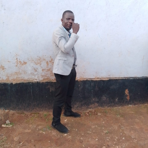 ALINOOR N. profile photo