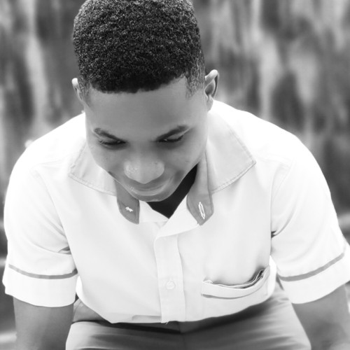 David  N. profile photo