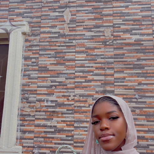 Mutmaheenat A. profile photo