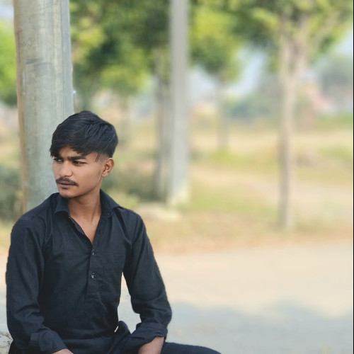 Arsh  P. profile photo