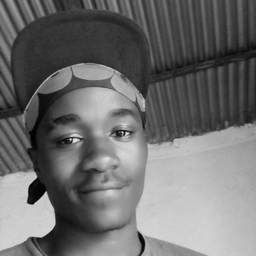 Vincent K. profile photo