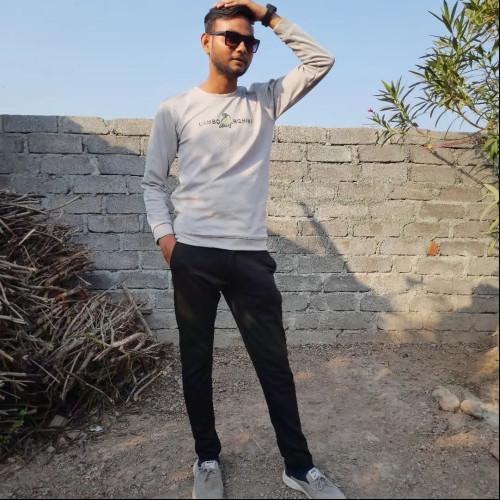 Kaushik C. profile photo