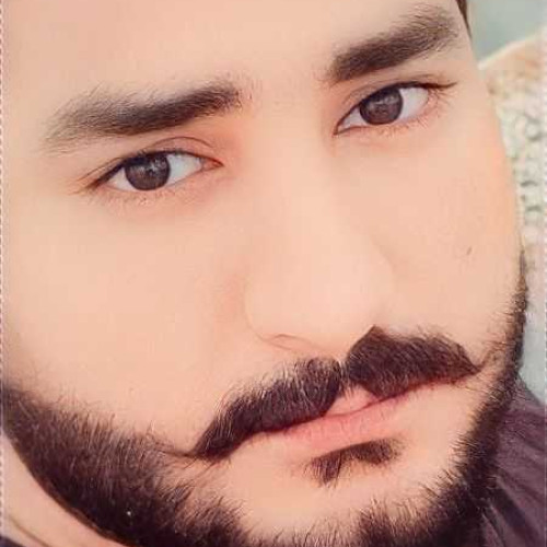 Arman C. profile photo