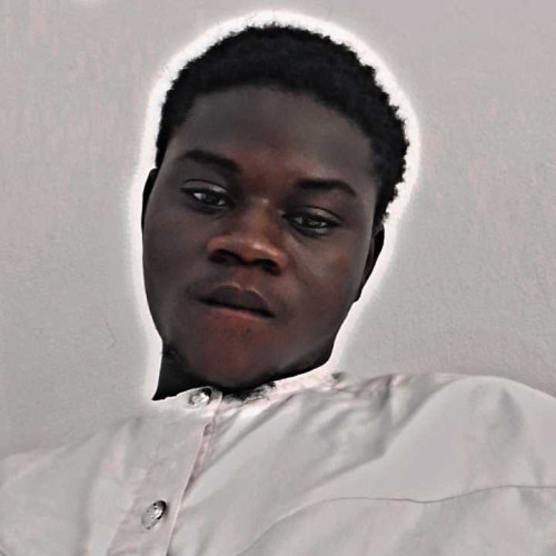 Olatunji O. profile photo
