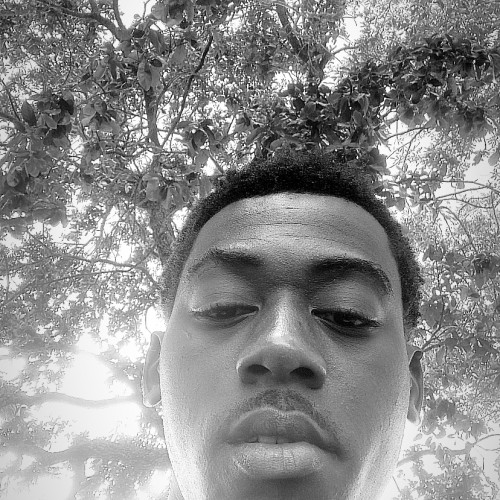 Wolfdin  P. profile photo