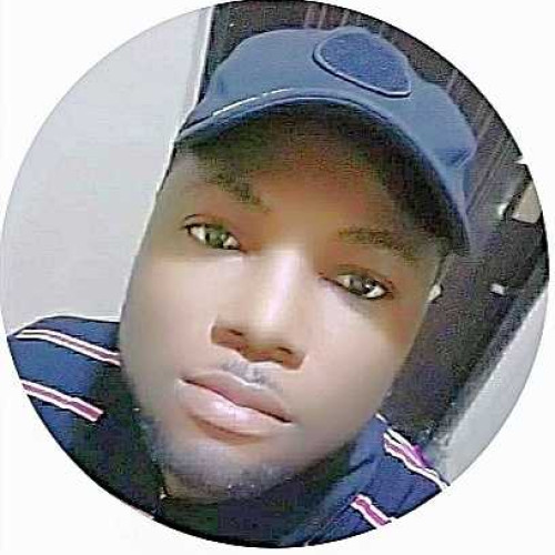 olushina j. profile photo