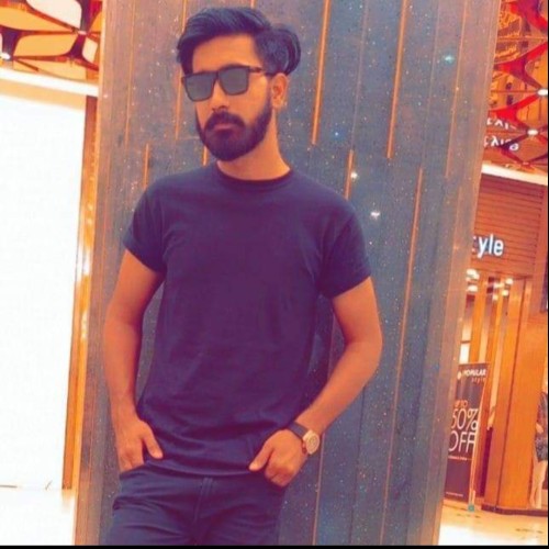 Ali S.