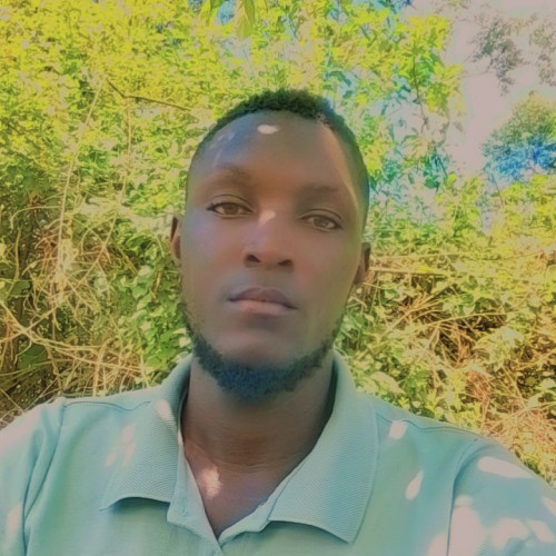 Mark A. profile photo