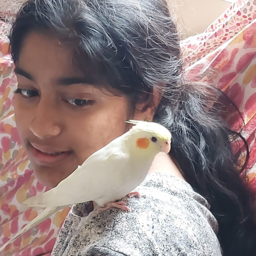 Aditi R.