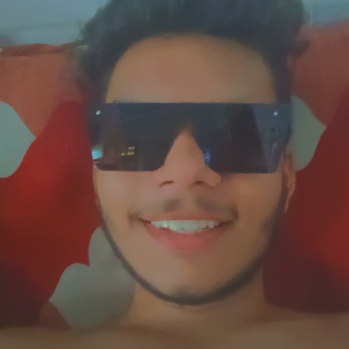 Aryan D.