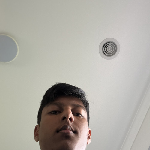 Mujtaba M.