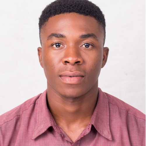 izuchukwu  I. profile photo