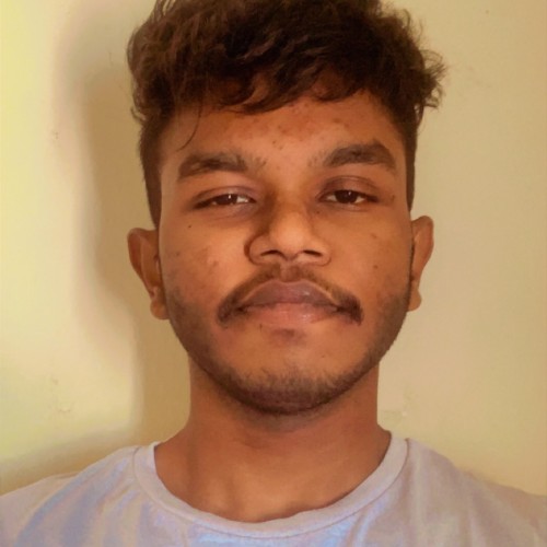 Dipen S. profile photo