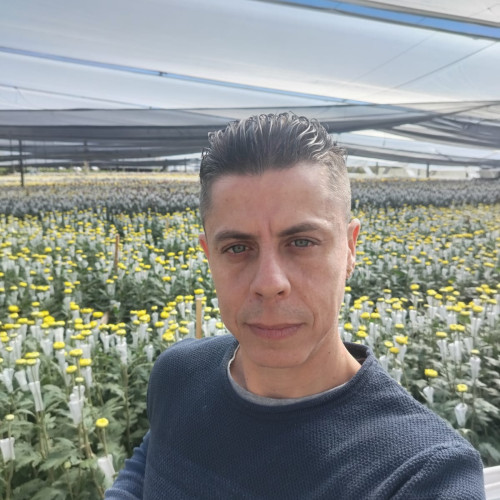 Daniel F. profile photo