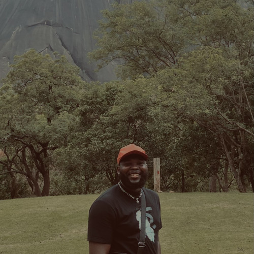 Oluwaseyi  T. profile photo