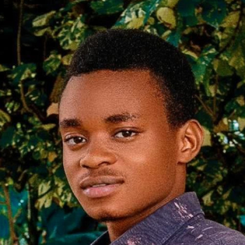 Felix O. profile photo