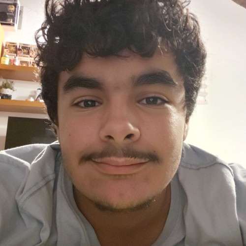 Daniel L. profile photo