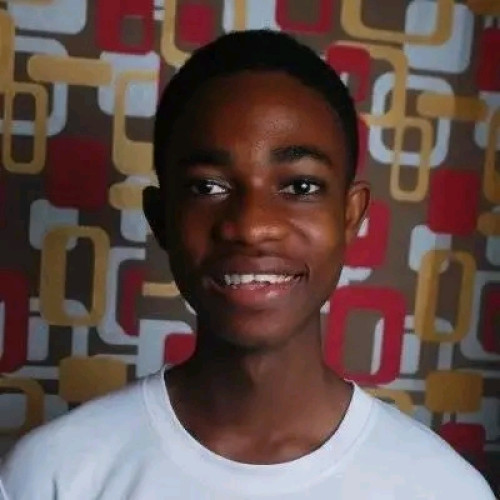 Ugochukwu A. profile photo