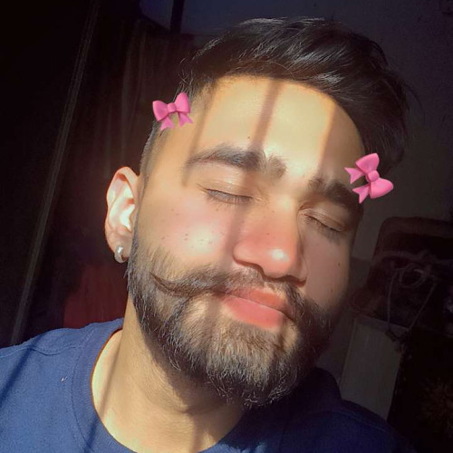 Ansh D. profile photo