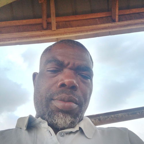 Sobowale O. profile photo