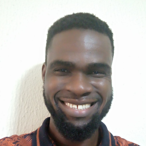 Chinedu  N. profile photo