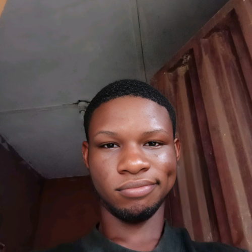 basit O. profile photo