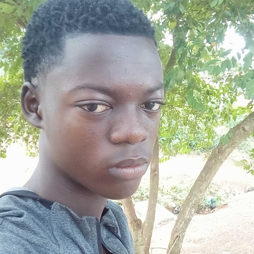 Moses A. profile photo