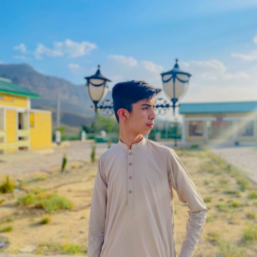 Syed Inam  U.