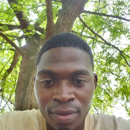 adisa a. profile photo