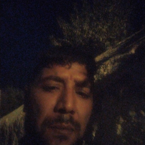 majid a. profile photo