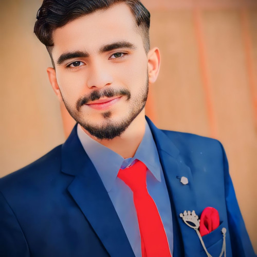 Malik  Z. profile photo