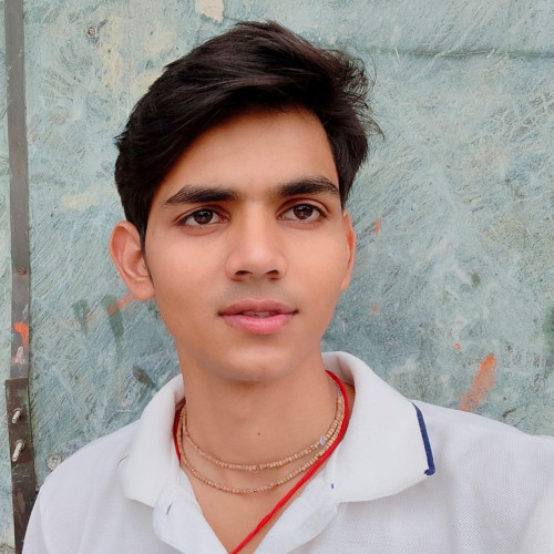 Ankit K.