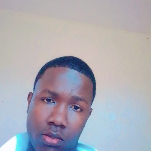 Max E. profile photo