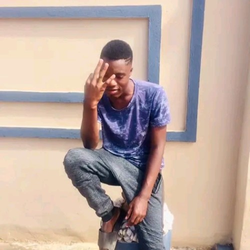 Tive N. profile photo