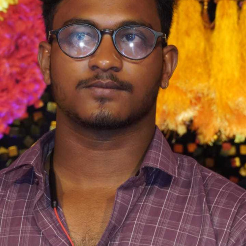 Srinibas s. profile photo