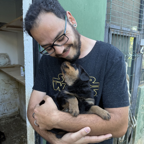 Javier L. profile photo