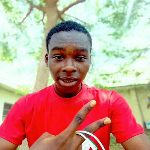 Chisom  E. profile photo