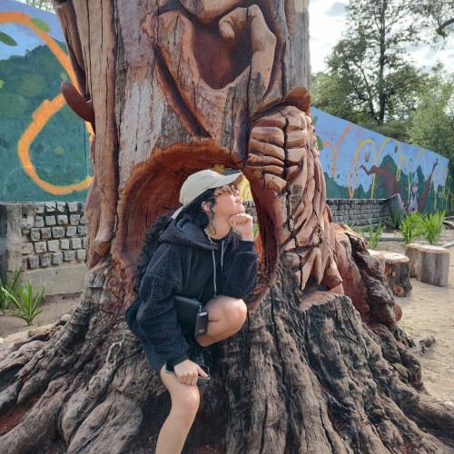 KARLIS C. profile photo