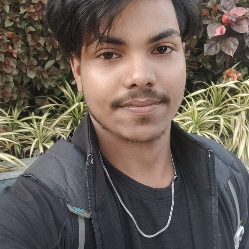 Biswajit  N. profile photo