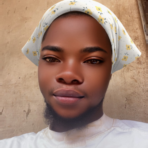 Boluwatife  O. profile photo