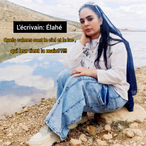 Elaheh E. profile photo