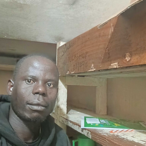 Desty O. profile photo