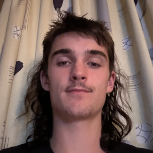 Harry M. profile photo