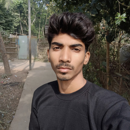 Subhankar B. profile photo